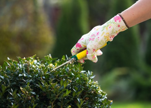 Landscape gardeners designing a Bromley garden layout