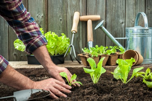 Visual representing screen-reader compatible content for local landscapers