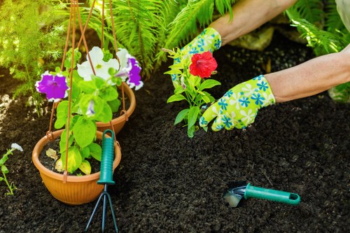Site safety checks before landscaping and rubbish clearance work