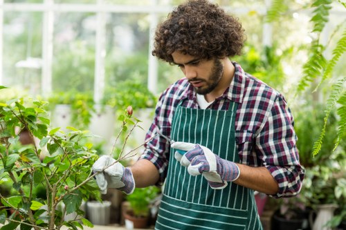 Expert planting services creating a vibrant Bromley garden