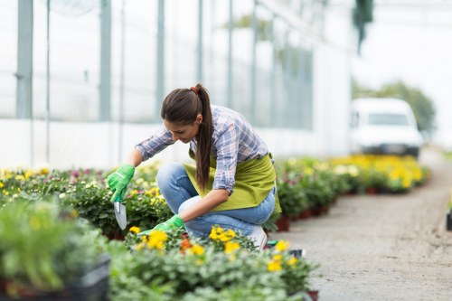 Supplier compliance review in a landscaping business setting
