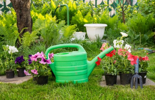 Commercial lawn mowing in Bromley