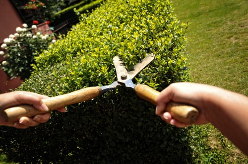 Professional patio repair work restoring outdoor paving