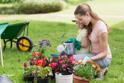 Well-kept residential lawn in Bromley after professional care
