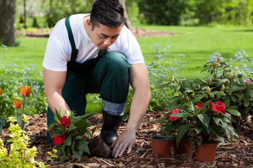 Local Bromley landscapers planning an outdoor space