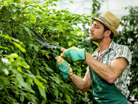 Landscaping workers in Bromley wearing PPE during garden clearance