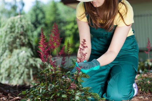 Stylish flower bed creation in Bromley with colourful seasonal planting