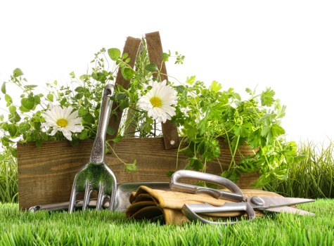 Composite decking repairs in Bromley with tools and fixings