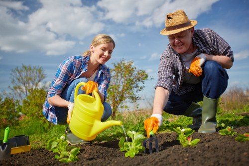 Senior review of a landscaping complaint case