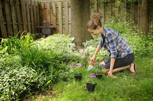Local planting services planning borders and plant selection in Bromley