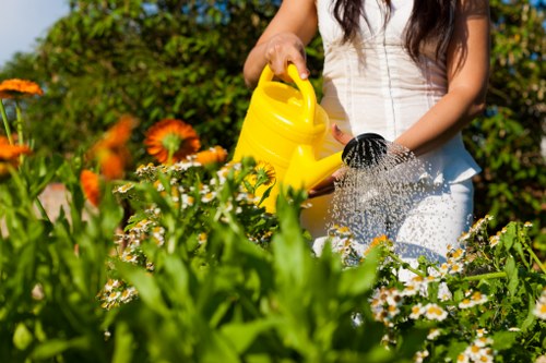 Professional garden clearance work in a Bromley home
