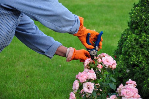 Seasonal hedge cutting work in a Bromley property garden