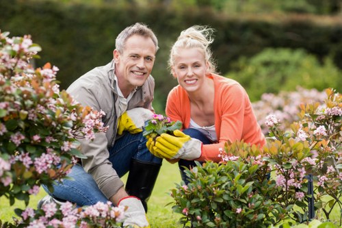 Planning flower bed creation in Bromley with garden layout and plant ideas